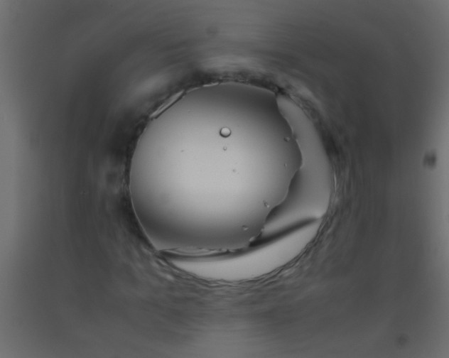X0000093100965200710101534