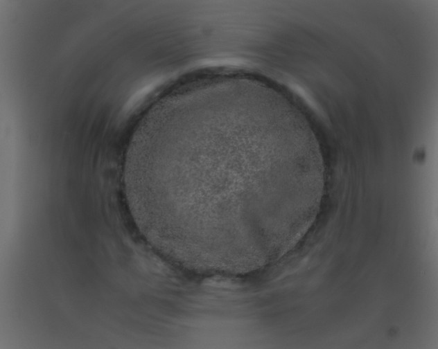 X0000093100967200710101534