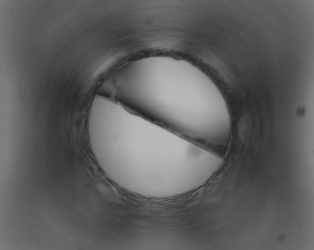 X0000093100968200710101534