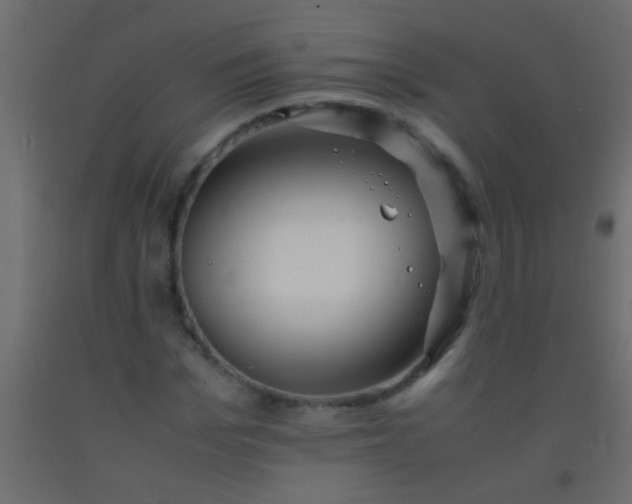 X0000093100969200710101534