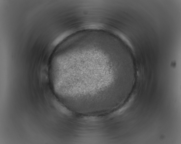 X0000093100970200710101534