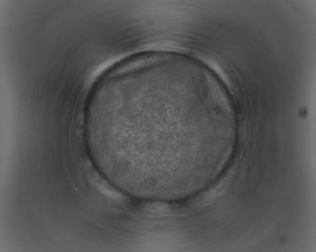 X0000093100971200710101534
