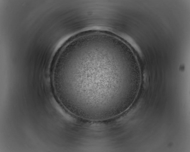 X0000093100972200710101534