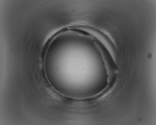 X0000093100973200710101534