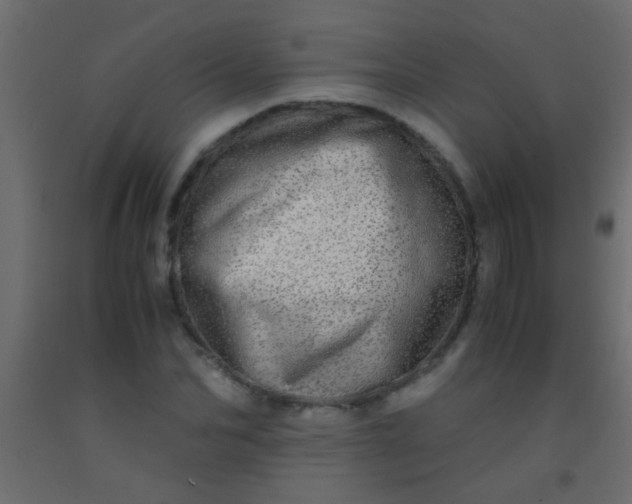 X0000093100974200710101534