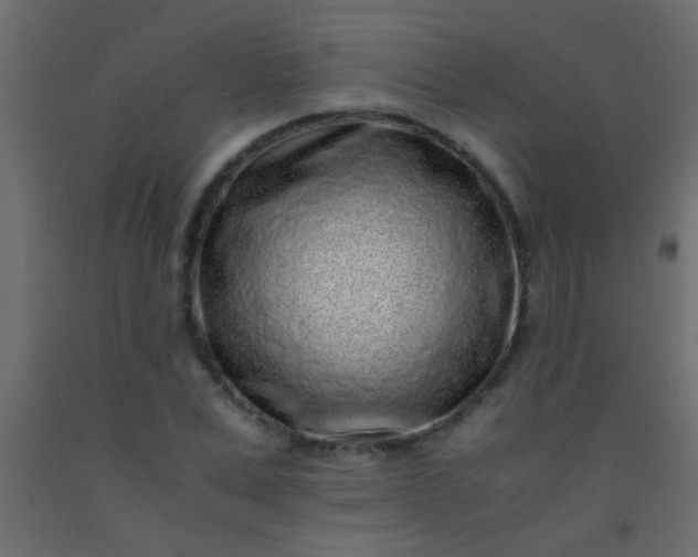 X0000093100975200710101534