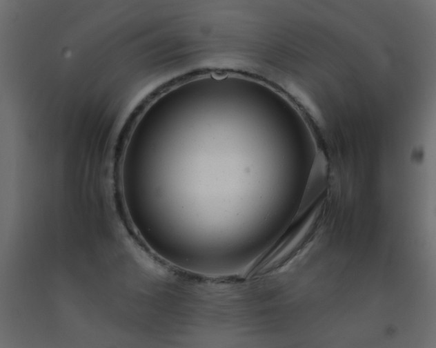 X0000093100976200710101534