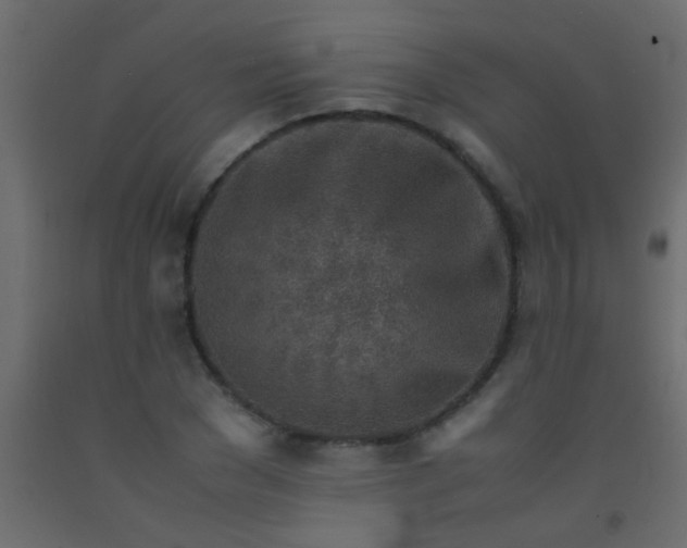 X0000093100977200710101534