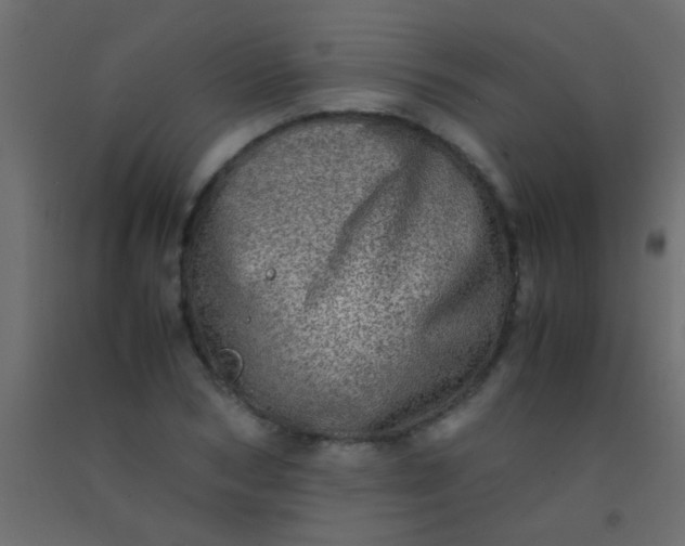 X0000093100978200710101534