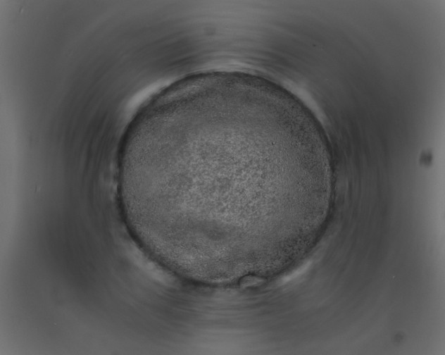 X0000093100979200710101534