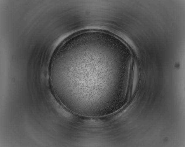 X0000093100980200710101534