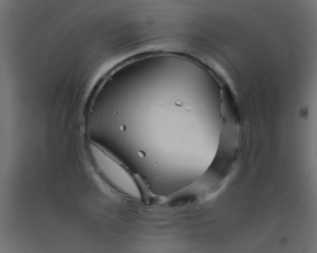 X0000093100981200710101534
