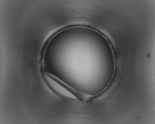 X0000093100983200710101534