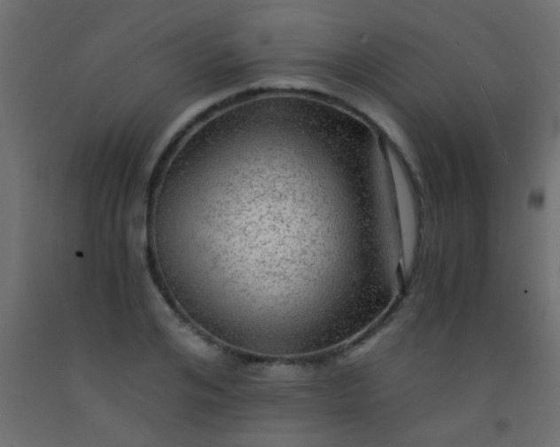 X0000093100984200710101534