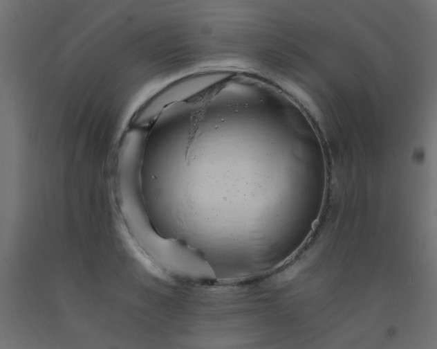 X0000093100989200710101534
