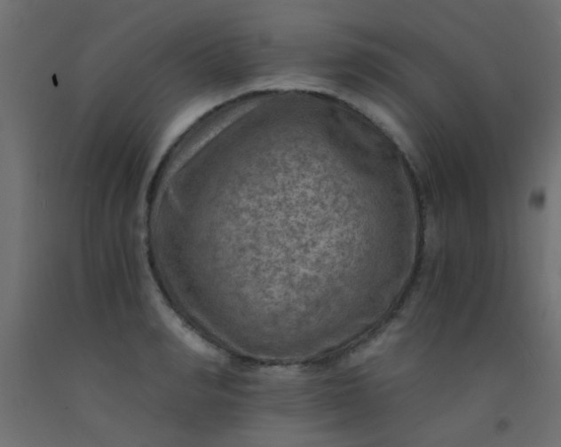 X0000093100990200710101534