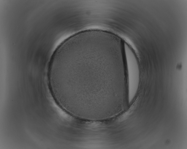 X0000093100991200710101534