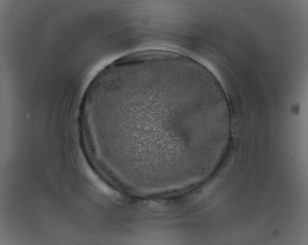 X0000093100995200710101534