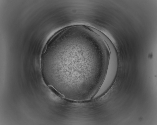 X0000093100996200710101534