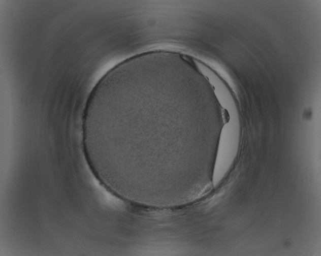 X0000093100999200710101534