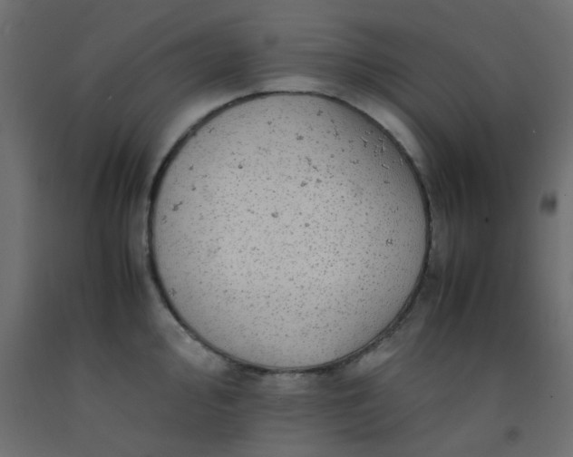 X0000093101000200710101534