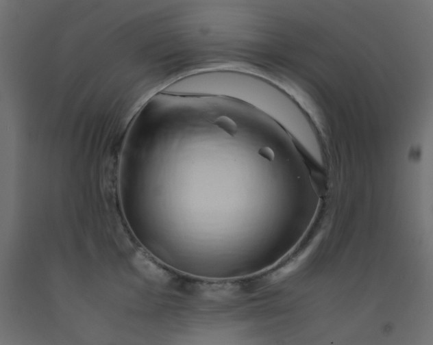 X0000093101001200710101534