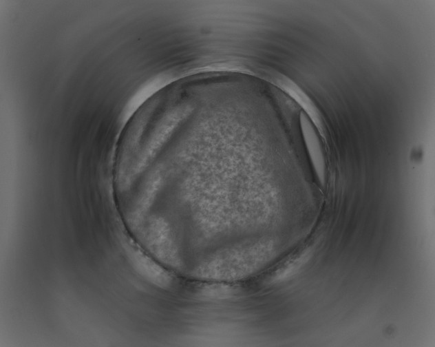 X0000093101002200710101534