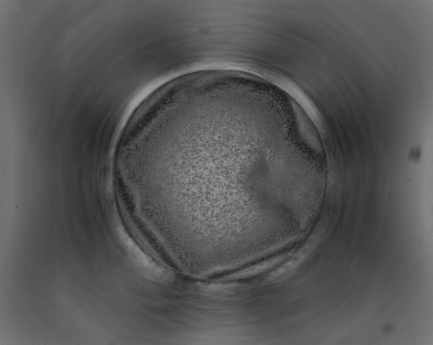 X0000093101004200710101534
