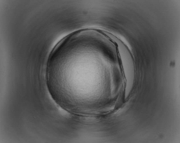 X0000093101007200710101534
