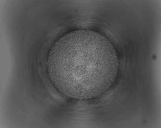 X0000093101009200710101533
