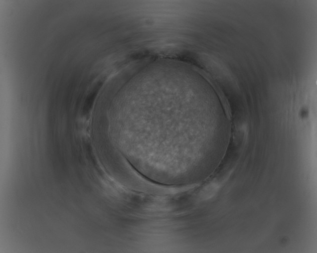 X0000093101010200710101533