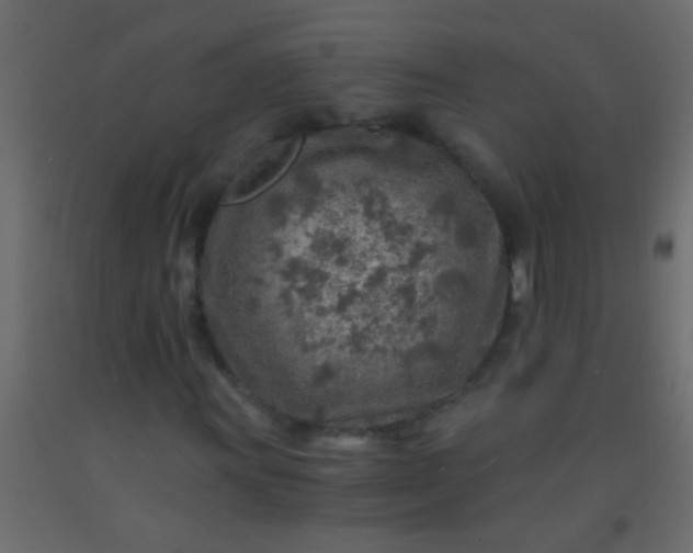X0000093101011200710101533