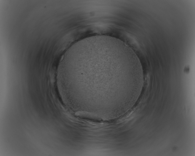 X0000093101012200710101533