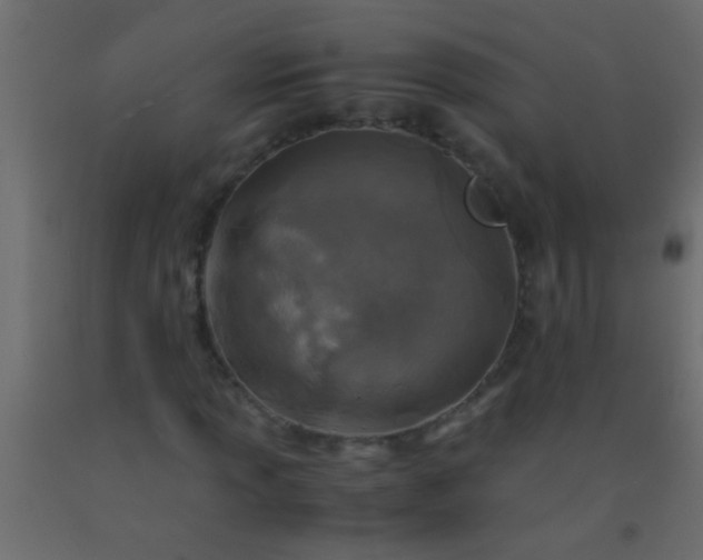 X0000093101013200710101533