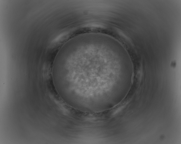 X0000093101014200710101533