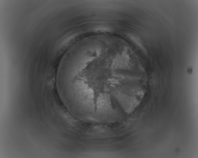 X0000093101015200710101533