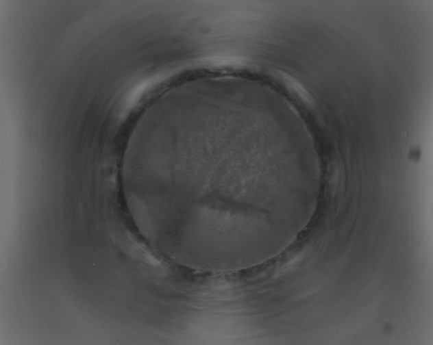 X0000093101016200710101533
