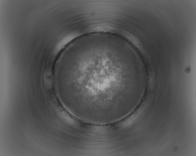 X0000093101018200710101533