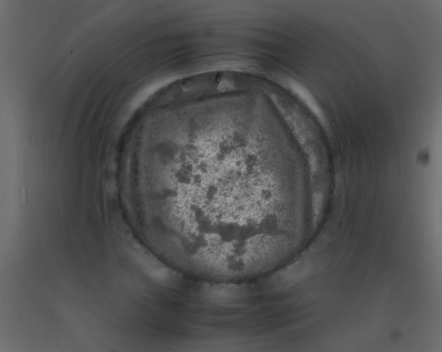 X0000093101019200710101533