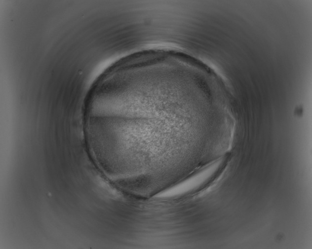 X0000093101022200710101533