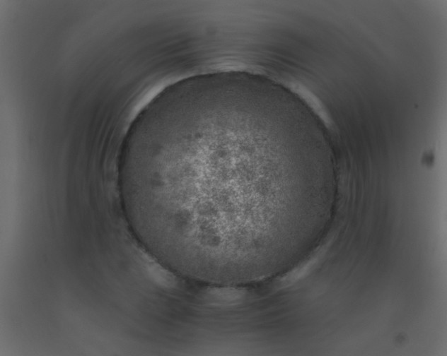X0000093101023200710101533