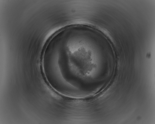 X0000093101024200710101533