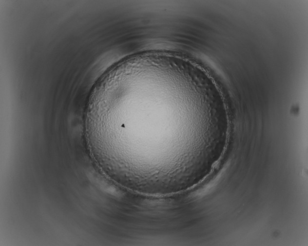 X0000093101025200710101533