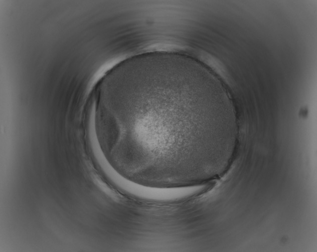 X0000093101026200710101533