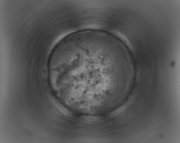 X0000093101027200710101533