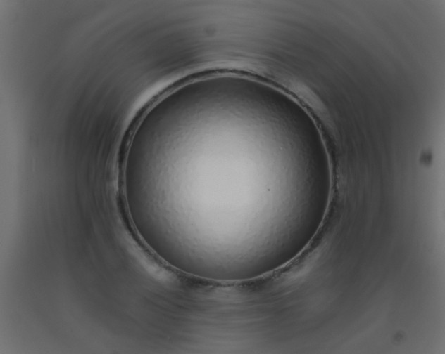 X0000093101028200710101533