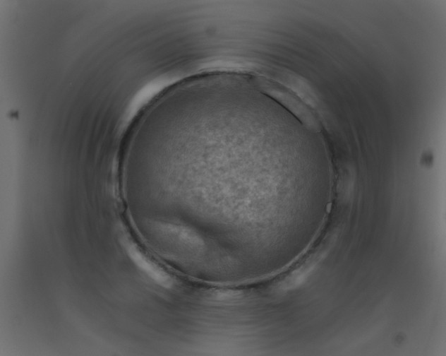 X0000093101030200710101533