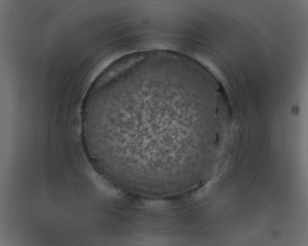 X0000093101031200710101533