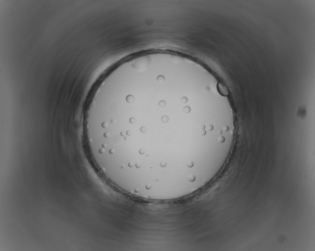 X0000093101032200710101533