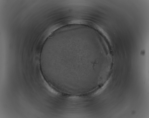 X0000093101033200710101533